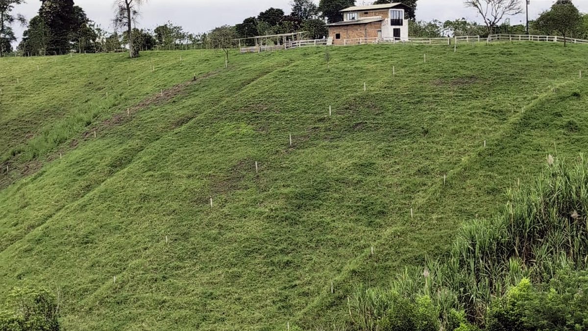 Lote campestre en ladera verde con casa vecina en Ulloa, Valle del Cauca