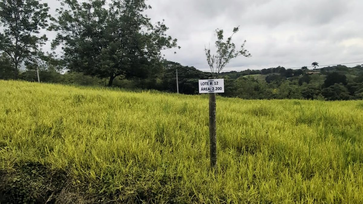 Lote campestre demarcado y numerado con su área en una parcelación de Ulloa