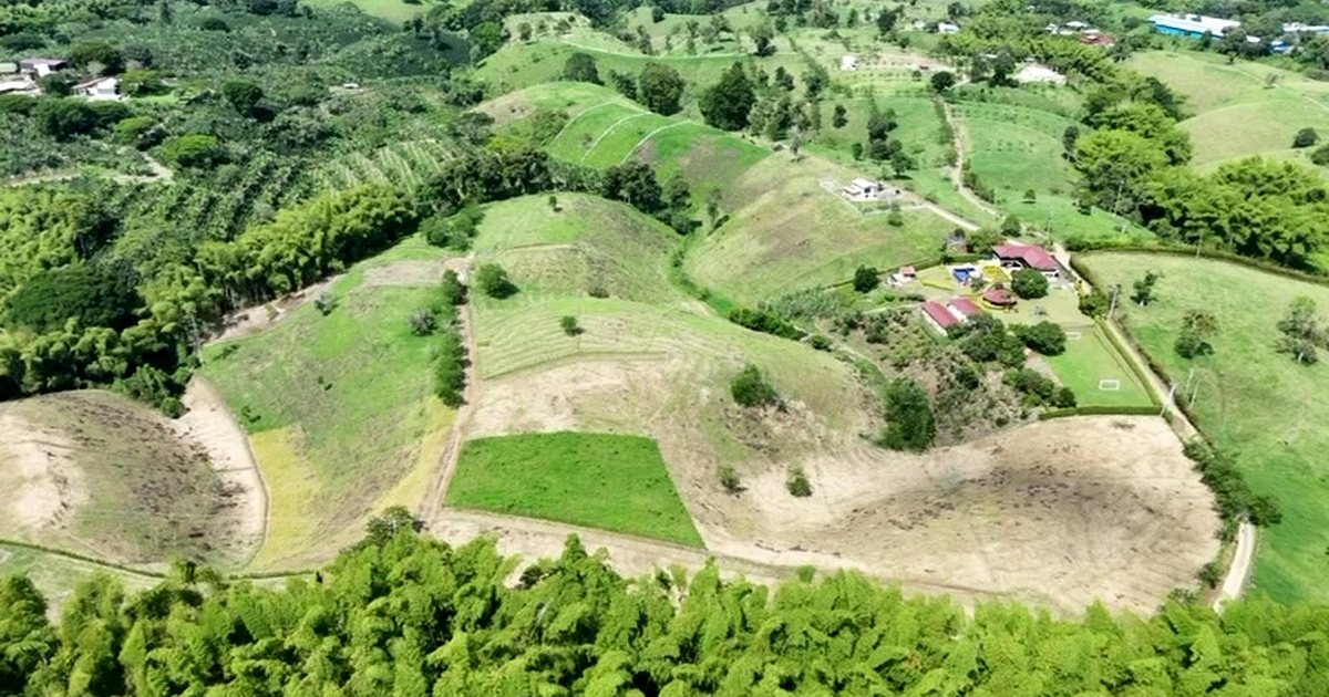 Vista aérea de una parcelación de lotes campestres entre cafetales y guaduales en el Eje Cafetero