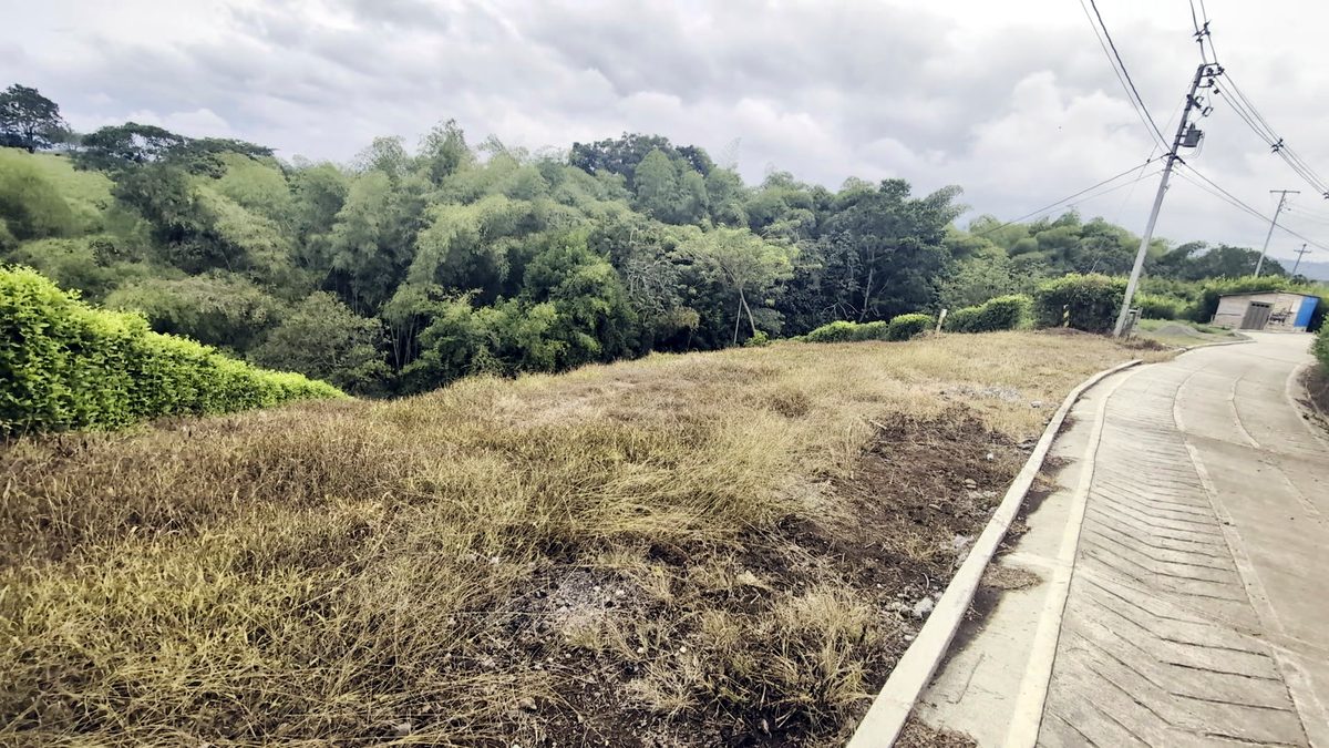 Vía interna pavimentada de una parcelación campestre en Ulloa, Valle del Cauca
