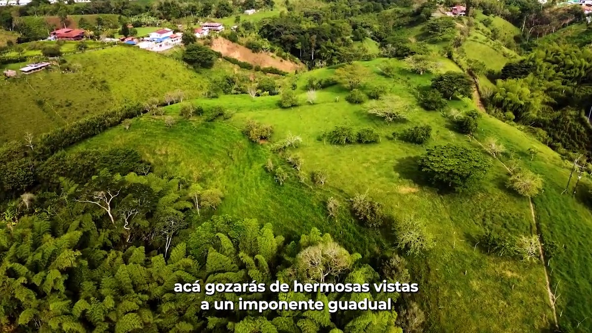 Terraverde